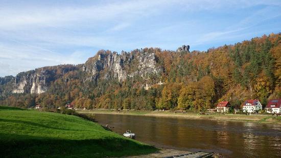 Felsenbuhne
